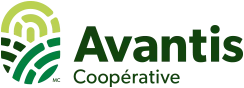 Avantis Coopérative
